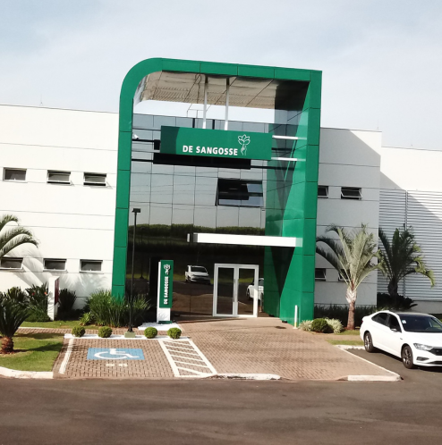 grupo sorridente