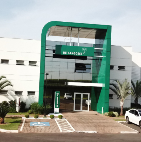 plantação